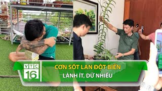 Cơn sốt lan đột biến: Lành ít, dữ nhiều | VTC16