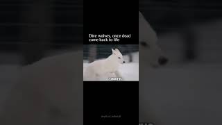 De-extinction of extinct animals...../dire wolf edit