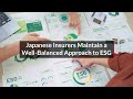 Japanese Insurers Maintain a Well-Balanced Approach to ESG