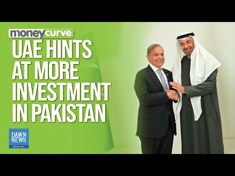 In Talks with PM Shehbaz, UAE President Hints at More Investment | Dawn News English