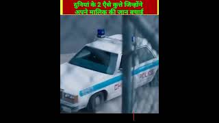 दुनियां के 2 एैसे कुत्ते जिन्होंने अपने मालिक की जान बचाई || #shortvideo #viral