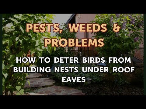 How to Deter Birds From Building Nests Under Roof Eaves