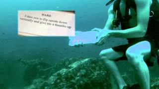 Scuba Diving Wedding Proposal - BEST PROPOSAL EVER
