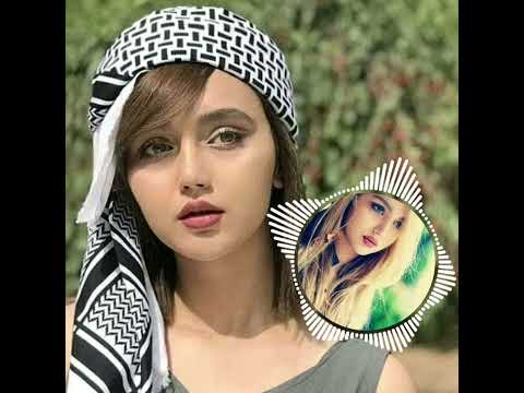 جانانه قلندرت شدم یادم کن ای