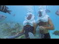 Middle of video