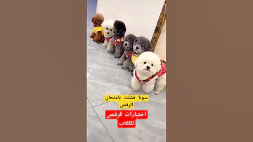 سونا فشلت بامتحان االرقص شنكليلي للاسف 