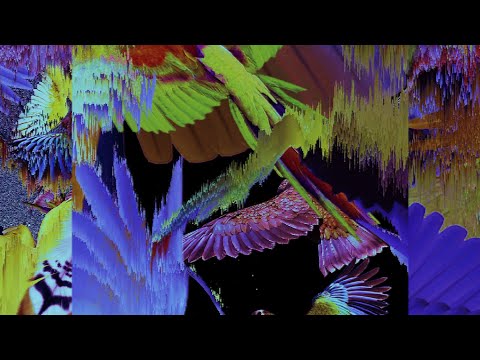 PLS&TY - Run Wild [Official Audio]