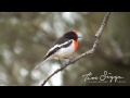 Beginning of video