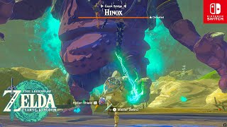 If Link Could Fuse Every Monster in Tears of the Kingdom!