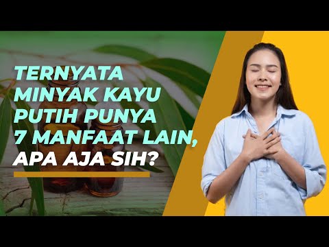 Tujuh Manfaat Minyak Kayu Putih Selain Menghangatkan Tubuh, Apa Saja?