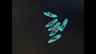 Stand-Up Paddleboarding at Wildlands Galway!