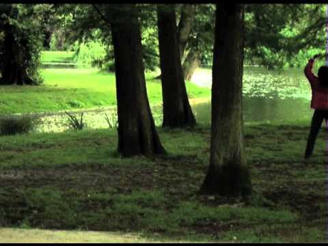 MO kolekcija. Eglė Budvytytė, „Secta“  (Ištrauka)