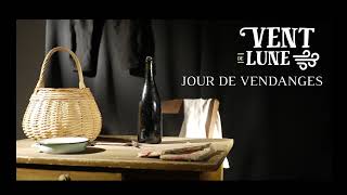 Vignette de la vidéo youtube