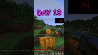 Day 10 in my 30 second world #minecraft #minecraftshorts#minecraftchallenge #minecraftin30seconds