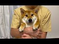 【ありがとう】いつも応援してくださってる皆様へ