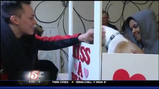 Formerly Abused Pit Bull Hosts Kissing Booth