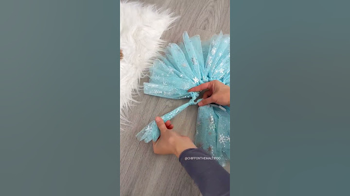 DIY sugar plum fairy dog ballerina outfit! #shorts #dog