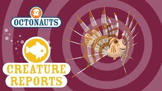 Octonauts: Creature Reports - Lion Fish
