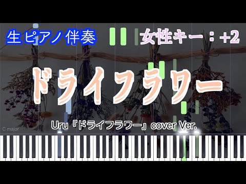 【オフボーカル】ドライフラワー/優理　歌詞付き（高音質）【ピアノ伴奏】