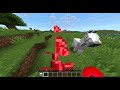day 1 of playing minecraft goal find a place where you can build a house