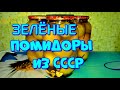 ▶️МАРИНОВАННЫЕ ЗЕЛЁНЫЕ ПОМИДОРЫ, РЕЦЕПТ ИЗ СССР!