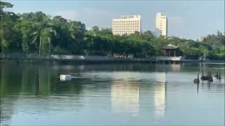 A Novel Autonomous Mobile Platform for Monitoring Fish Habitat