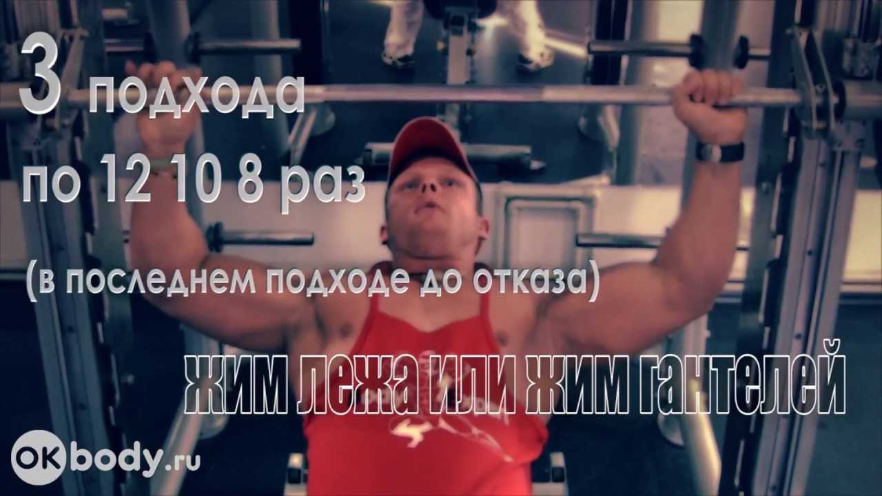 SF Программа тренировок в тренажерном зале - YouTube