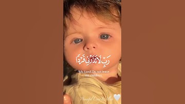 تلاوة جميلة و مؤثرة 🤍🕊️ - القارئ بلال الدربالي