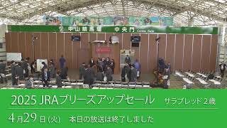 2025 JRAブリーズアップセール セリ生中継