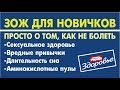 Здоровый Образ Жизни для новичков. Что делать, чтобы не болеть? Тайм-коды в описании видео