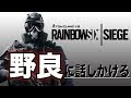 ［生配信］オネエが野良に話しかける!!レインボーシックスシージ