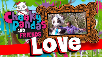 Cheeky Pandas and Friends | Buddy Episode: LOVE