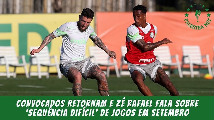 Everton melhor goleiro do Brasil #palmeiras #palestra #futebol #memest