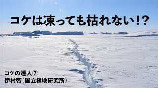 How can moss survive in Antarctica? Mr. Satoshi Imura (National Institute of Polar Research)] by 苔テラリウム専門-道草ちゃんねる‐ 3,565 views 8 months ago 22 minutes