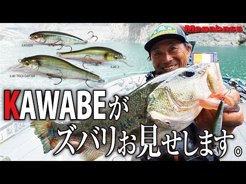 KAWABEがズバリお見せします。初夏のリザーバー攻略!! / 河辺裕和