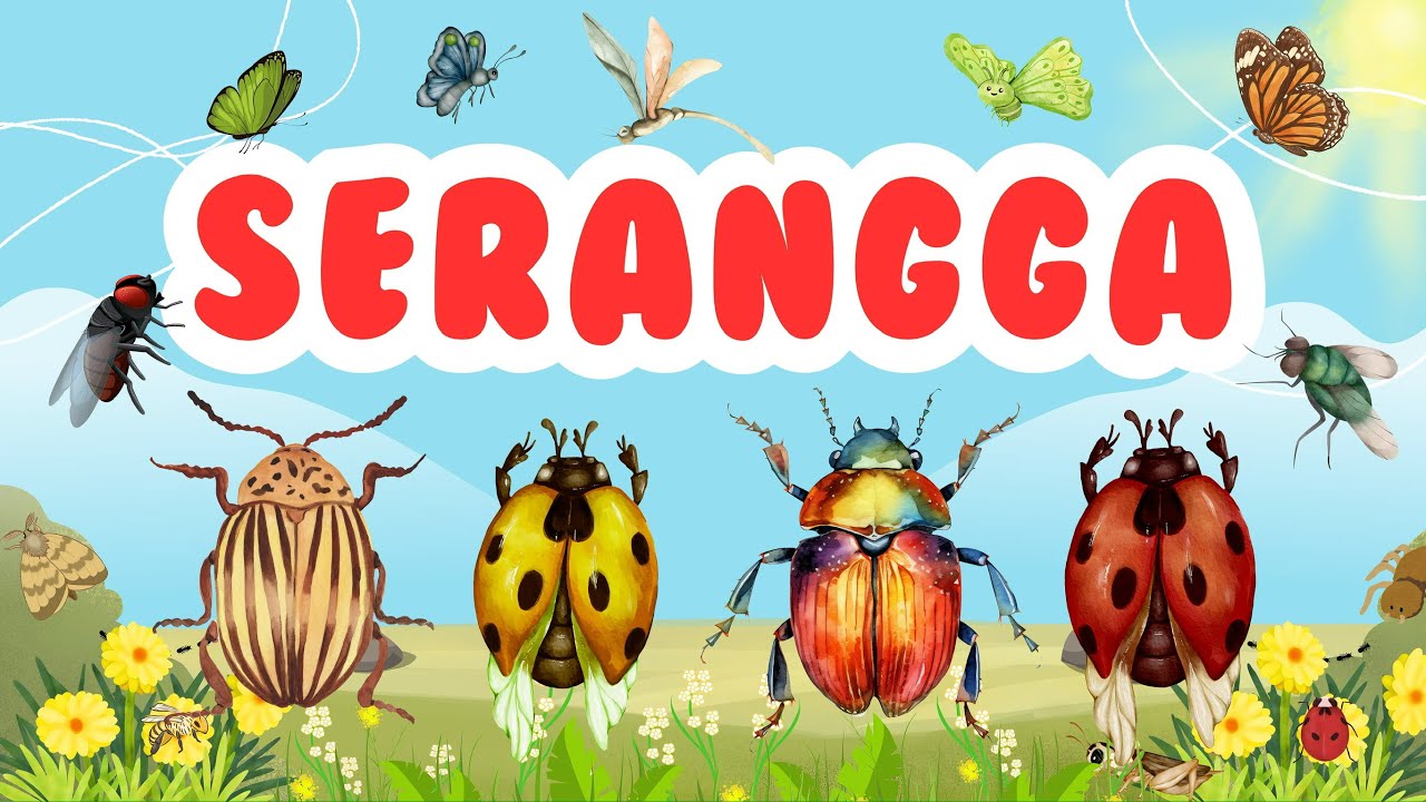 MARI BELAJAR MENGENAL NAMA-NAMA SERANGGA | Let’s Learn the Names of Insects!