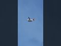 8Q-MBH and 8Q-TMX takeoff.