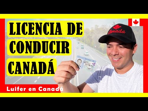 Video: ¿Cuánto cuesta una licencia de conducir canadiense?