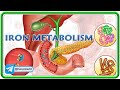Iron Metabolism : Transportation and Storage, Absorption and Regulation, Daily loss of iron : USMLE Mp3 Song
