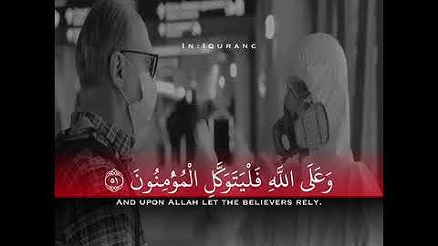 98 قرآن كريم بصوت عبدالمجيد الذويبي تلاوة هادئة تريح القلب ♡ حالات واتس اب  ستوريات قرآن    Quran st