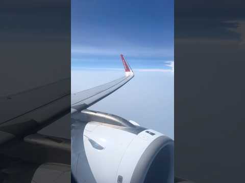 So You Guys Are Going By The Road