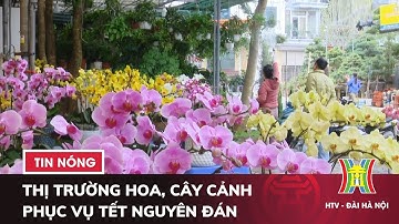 Thị trường Hoa, Cây Cảnh phục vụ Tết Nguyên đán - Tin Tức HOT nhất hôm nay