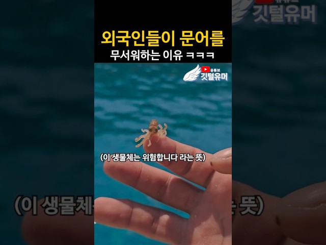 생각보다 너무 맛있기 때문 ㅋㅋㅋㅋ