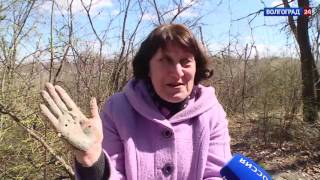 Чистый мир. Старополтавский район. 27.04.17 Чистый мир. Старополтавский район. 27.04.17