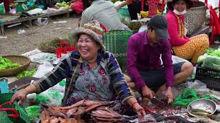 видео: Рыбные рынки Камбоджи.Дикий (с) картинка: Рыбные рынки Камбоджи.Дикий (с)