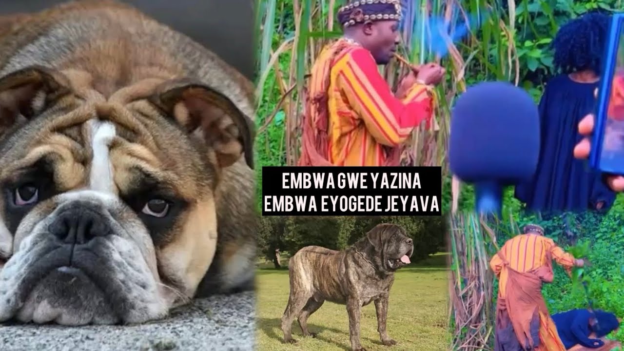 EMBWA GWEYAZINA BAMWABULUDE NEYOGERA JEYAVA