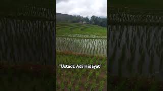 Ustadzadihidayatshorts sawah pemandanganbagus motivasify