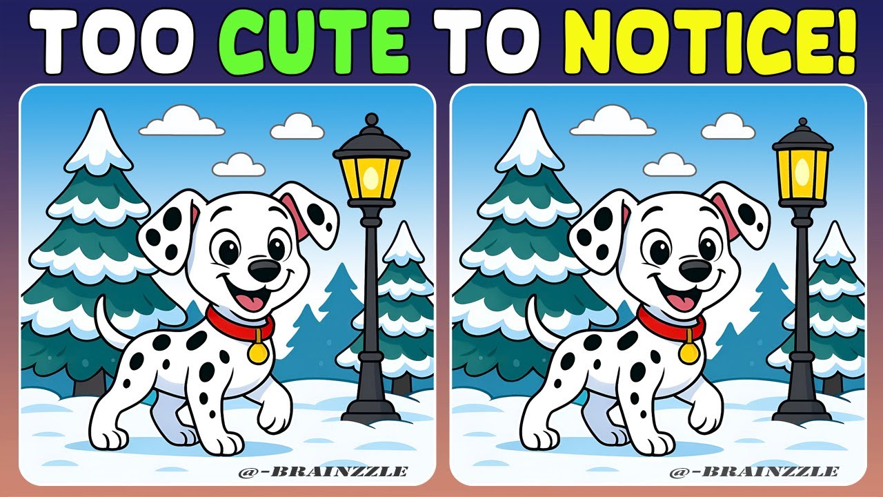 Найдите 3 отличия в этой милой сцене с питомцем: большинство людей упускают некоторые из них