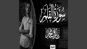 طارق محمد سورة القلم