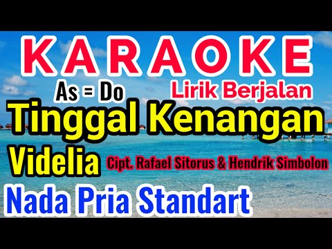 VIDELIA (TINGGAL KENANGAN) RAFAEL SITORUS COVER BY BUDI SINAGA